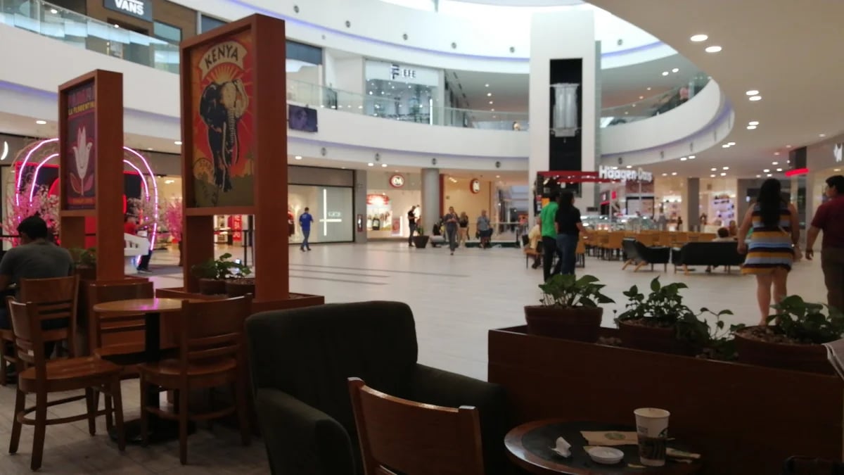 Plaza Altabrisa - Gallery Photo 6