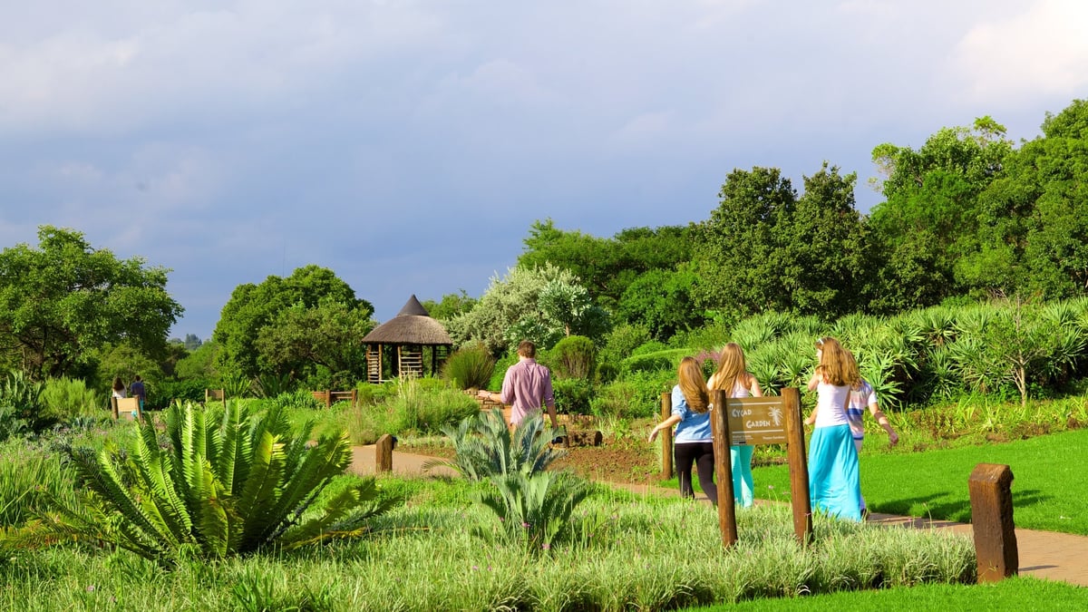 Ruimsig Plaza - Gallery Photo 3
