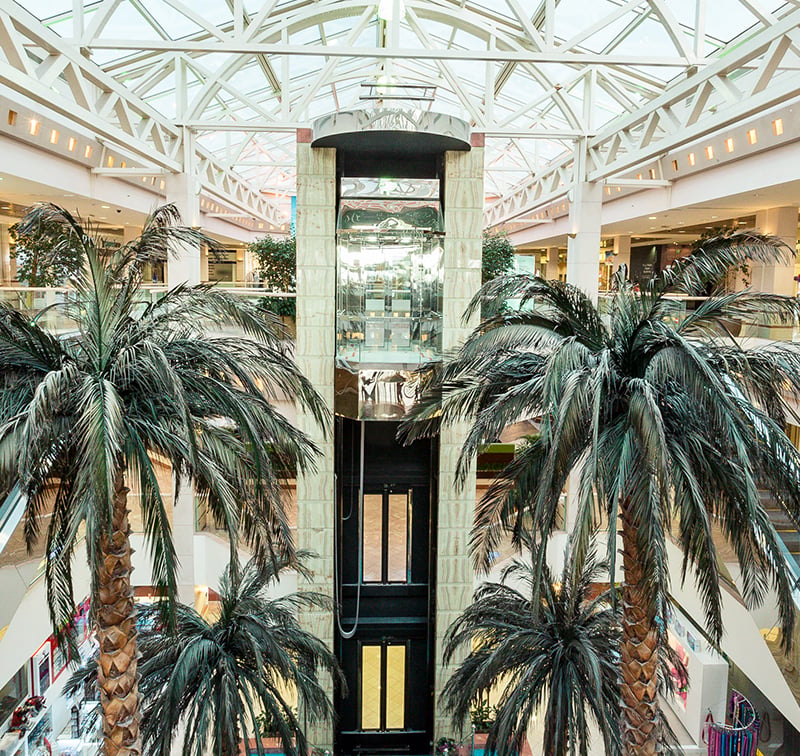 Town Centre Jumeirah - Gallery Photo 7