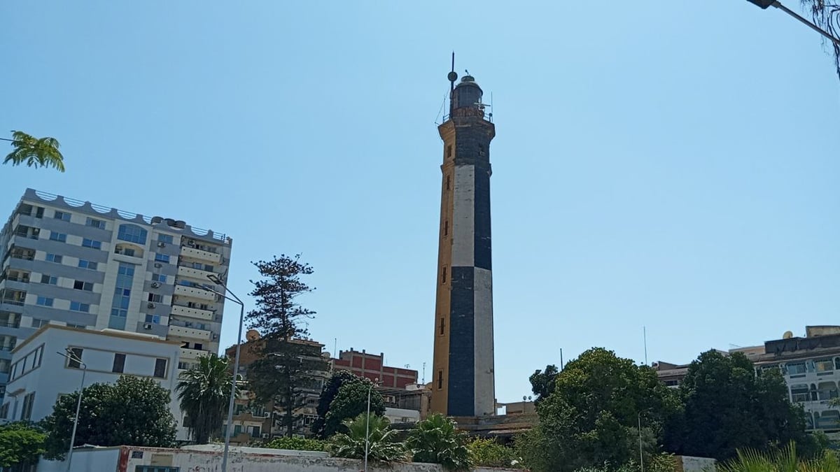 Port Said Mall - Gallery Photo 8