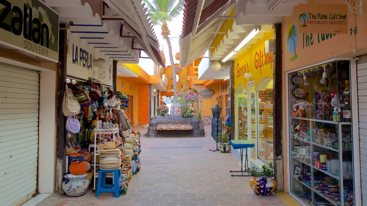 Plaza Dorada - Gallery Photo 1