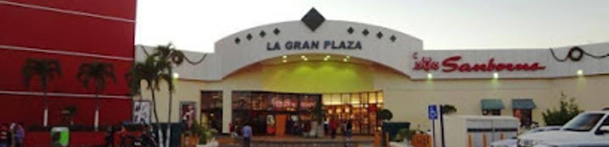 Plaza Dorada - Gallery Photo 6