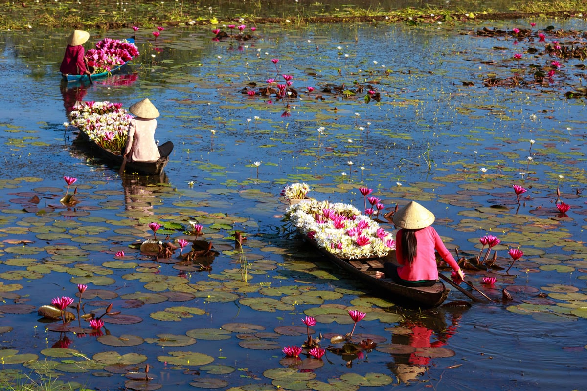 Lotus Center - Gallery Photo 10