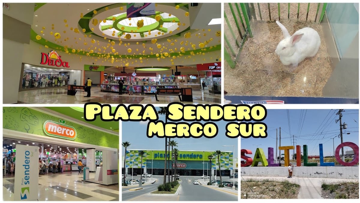 Plaza Sendero Saltillo - Gallery Photo 3