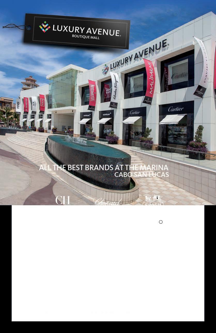 Plaza Las Fuentes - Gallery Photo 5