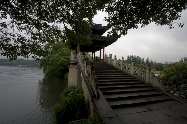 The Lake - Gallery Photo 5