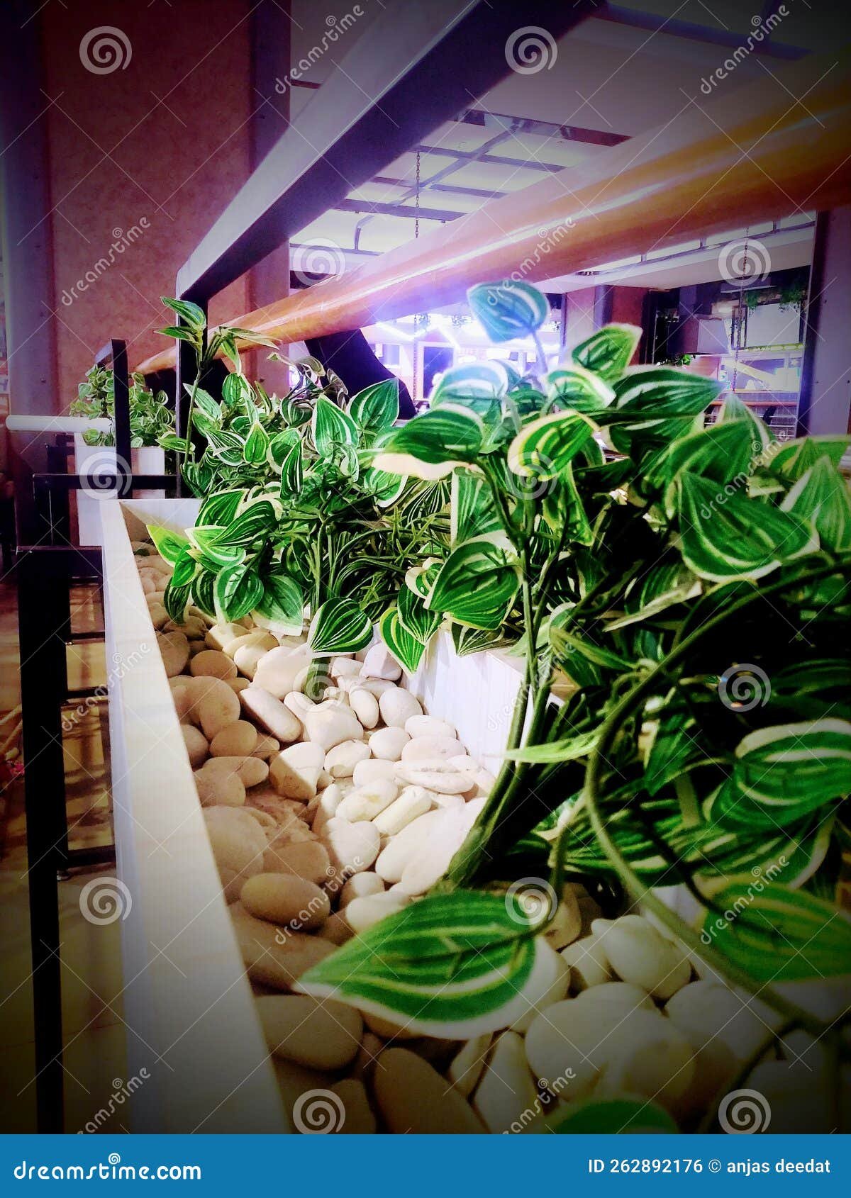 City Square Mall Semarang - Gallery Photo 5