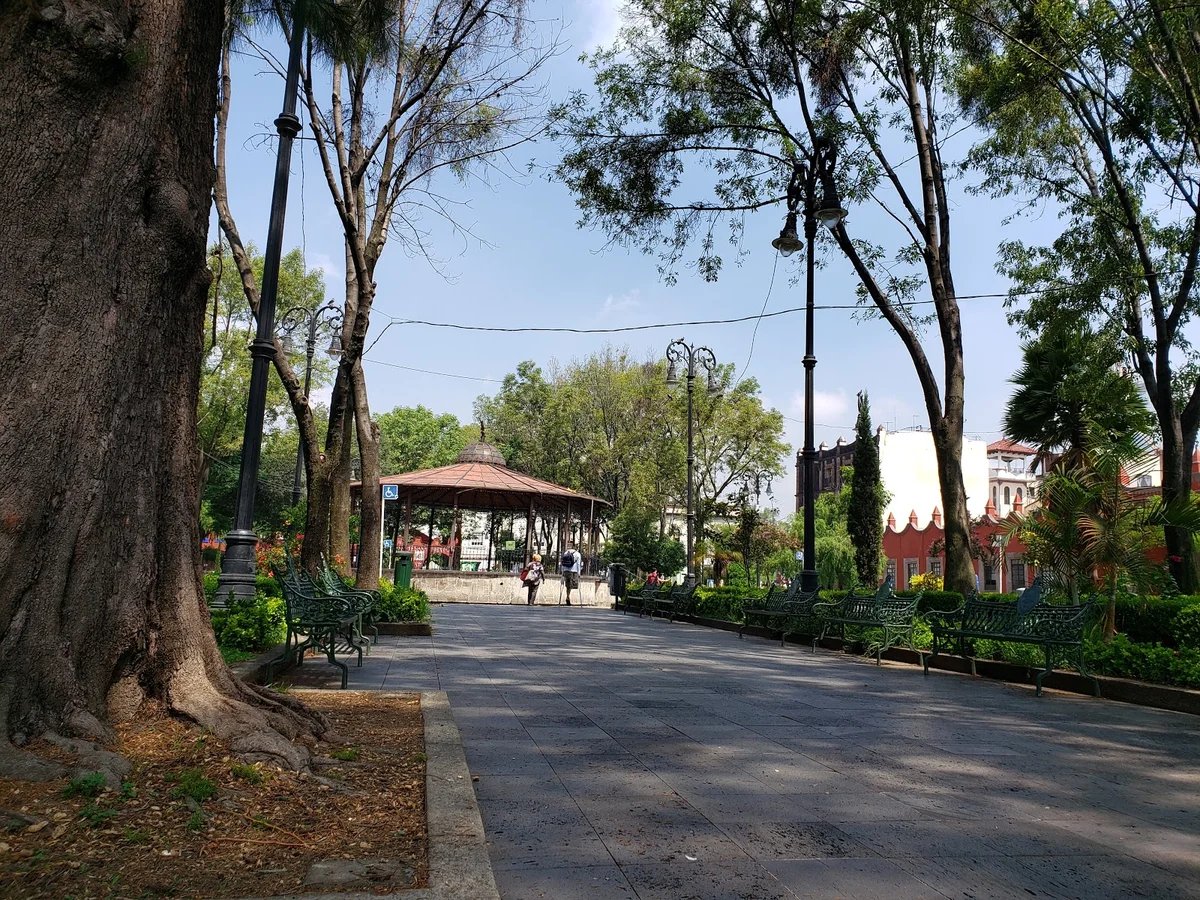 Plaza Coyoacán - Gallery Photo 2