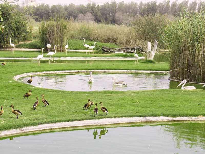 Al Sharjah Material Park - Gallery Photo 6