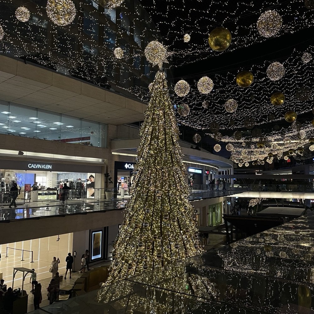 Plaza Las Palmas - Gallery Photo 6