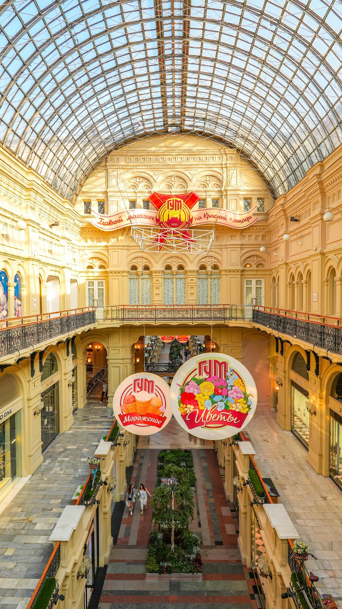 Gum - Gallery Photo 6