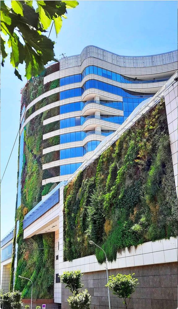 Atlas Mall - Gallery Photo 7