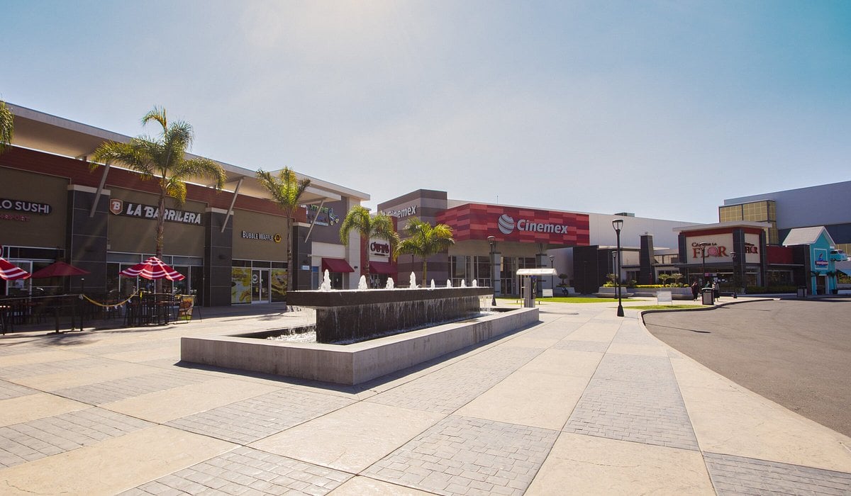 Vega Plaza - Gallery Photo 4