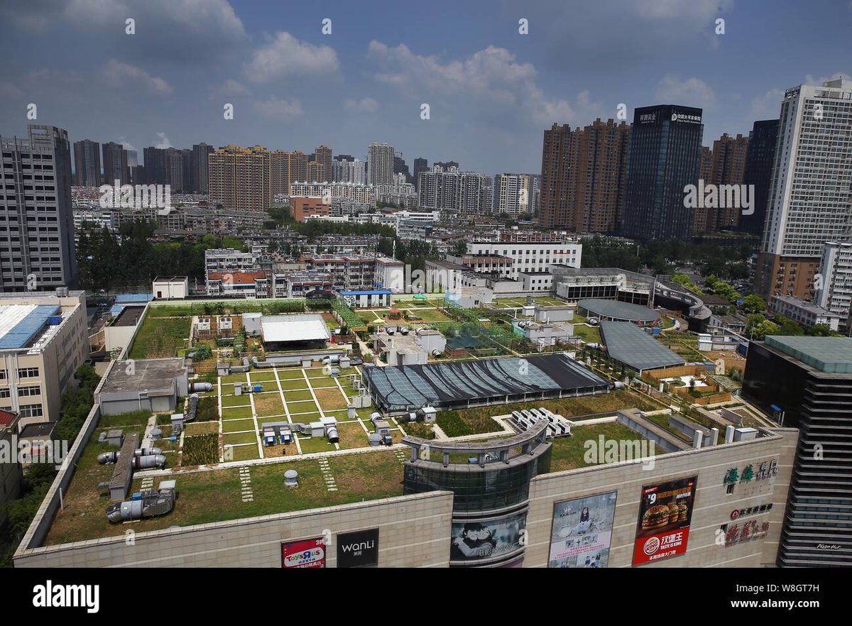 Hefei Vanke Plaza - Gallery Photo 6