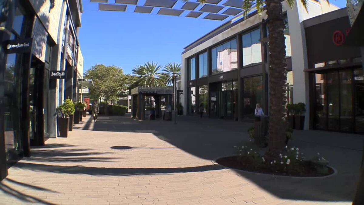 Next Gen Mall - Gallery Photo 14