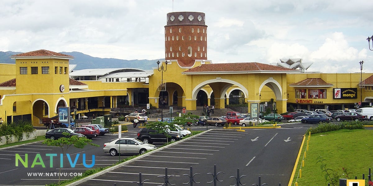 Paseo De Las Flores - Gallery Photo 3