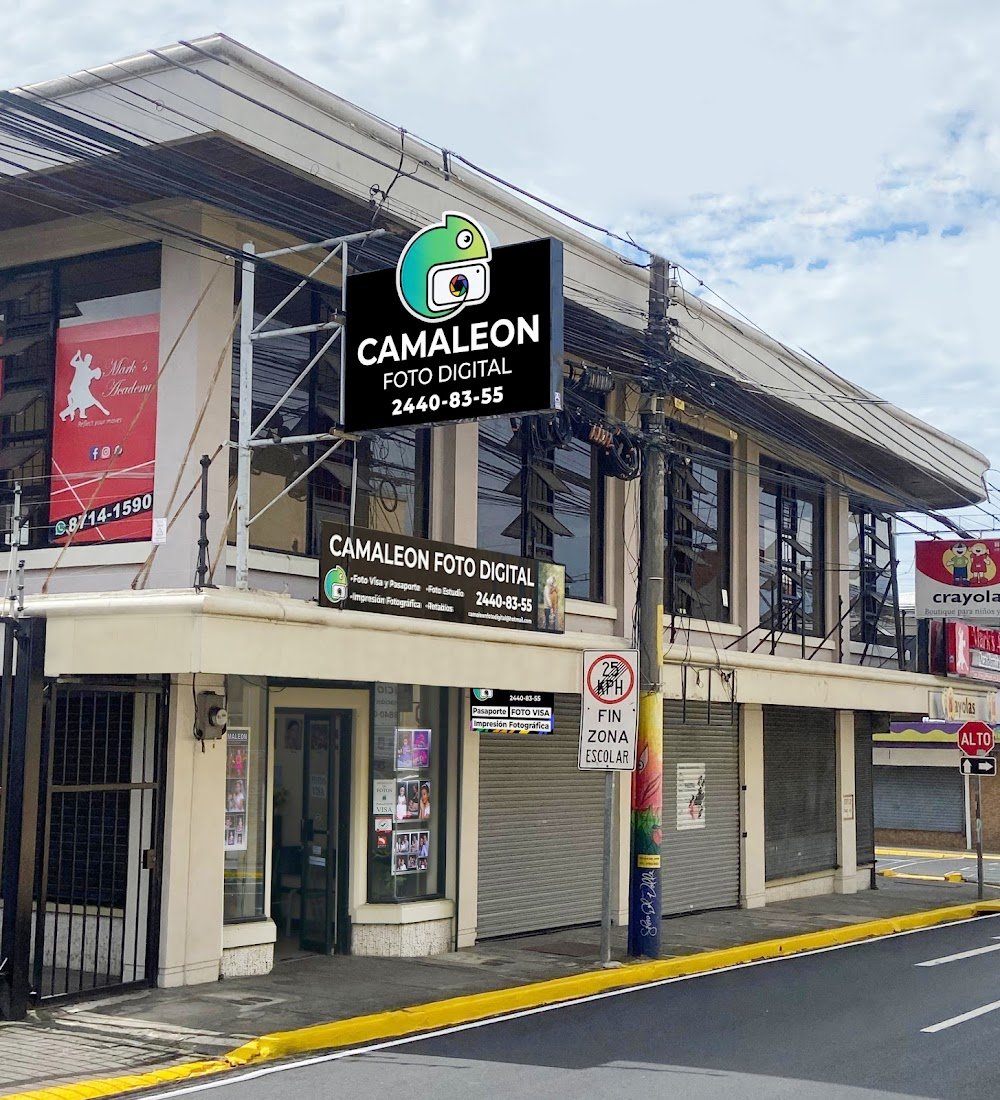 Paseo De Las Flores - Gallery Photo 9