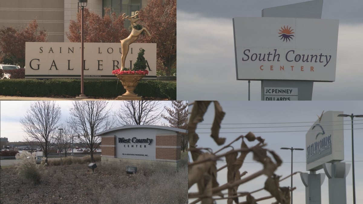 South County Center - Gallery Photo 8