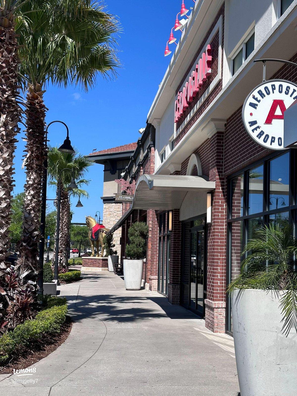 St. Johns Town Center - Gallery Photo 12