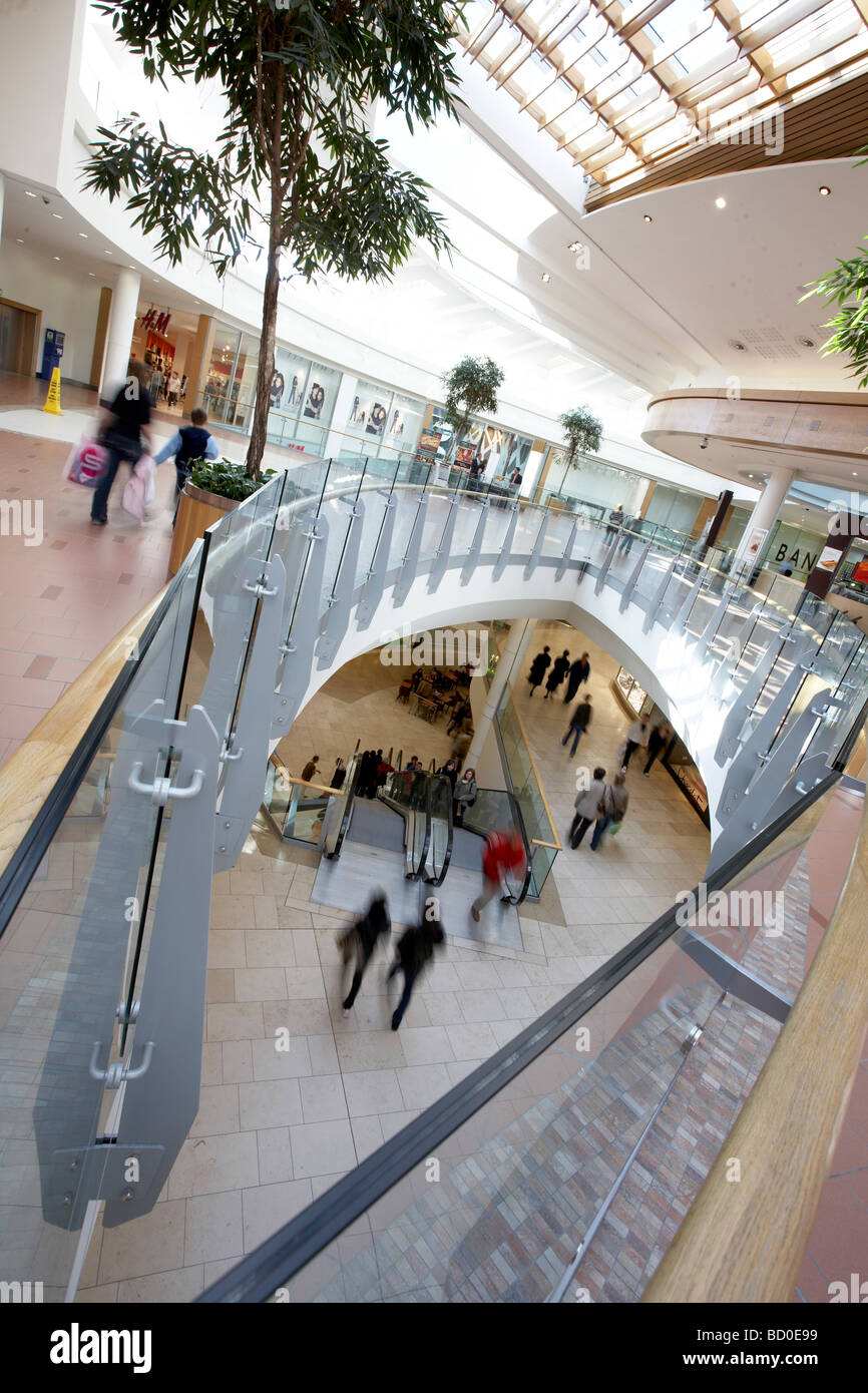 Intu Chapelfield - Gallery Photo 5