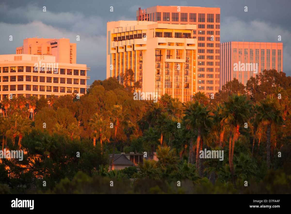Fashion Island - Gallery Photo 6