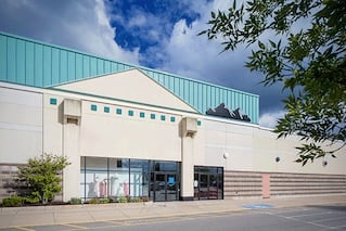 Mane Mall - Gallery Photo 5