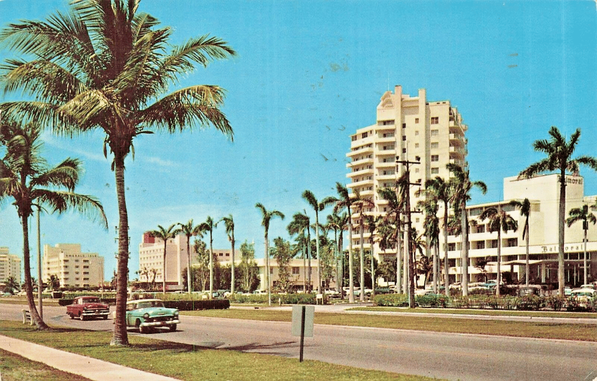 Boulevard Bal Harbour - Gallery Photo 9