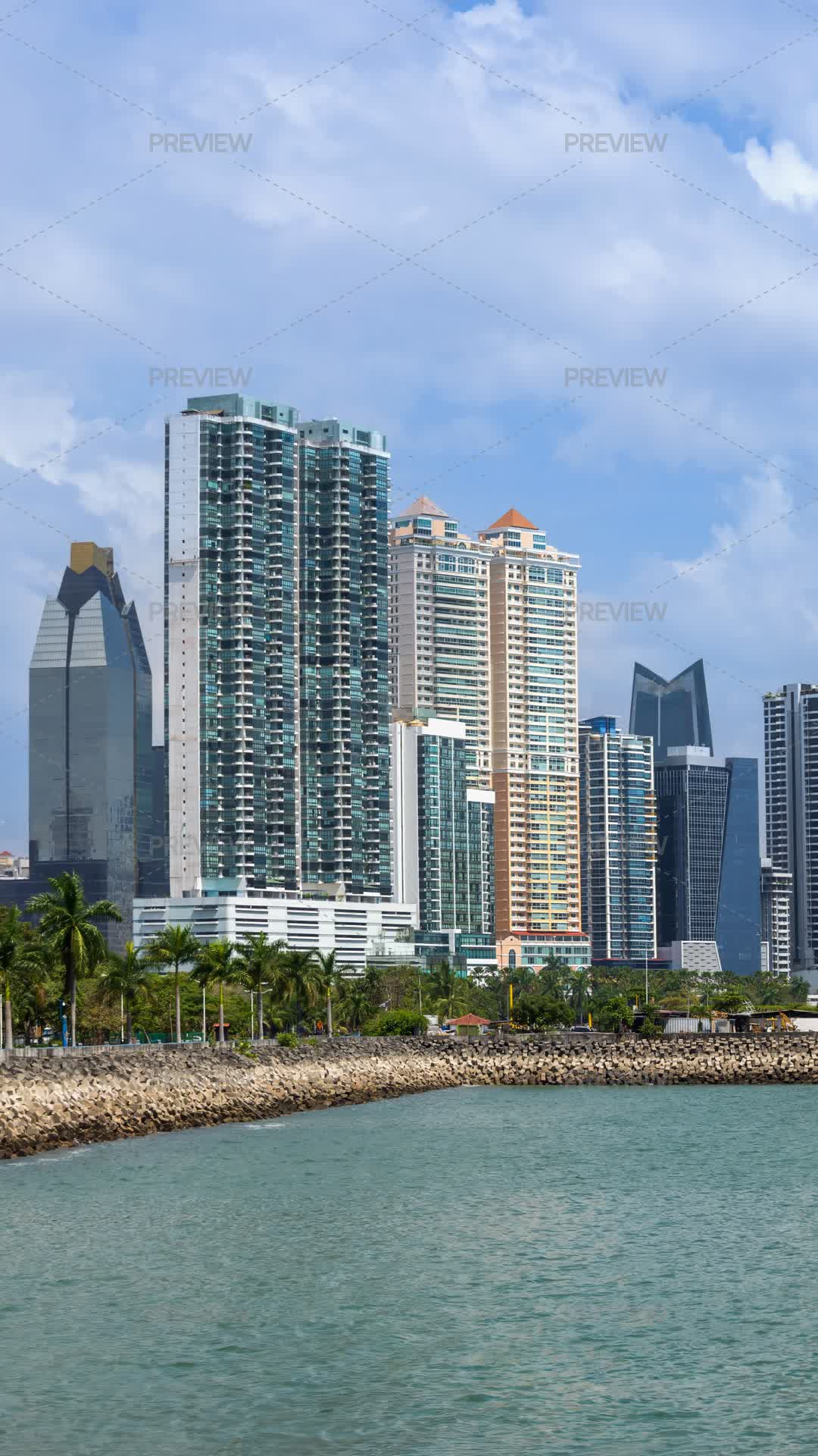Plaza Sunny - Gallery Photo 4