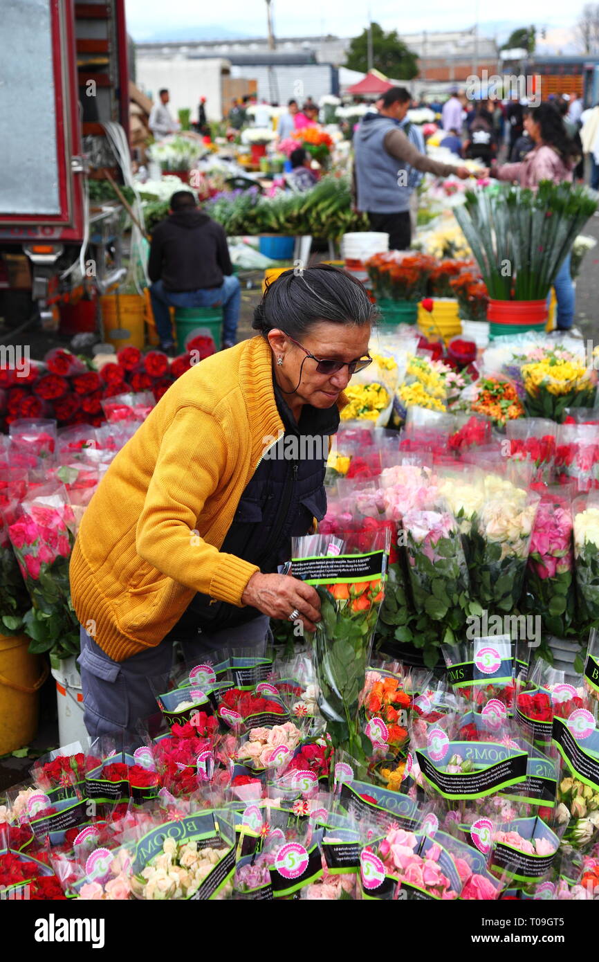 Plaza De Las Flores - Gallery Photo 1