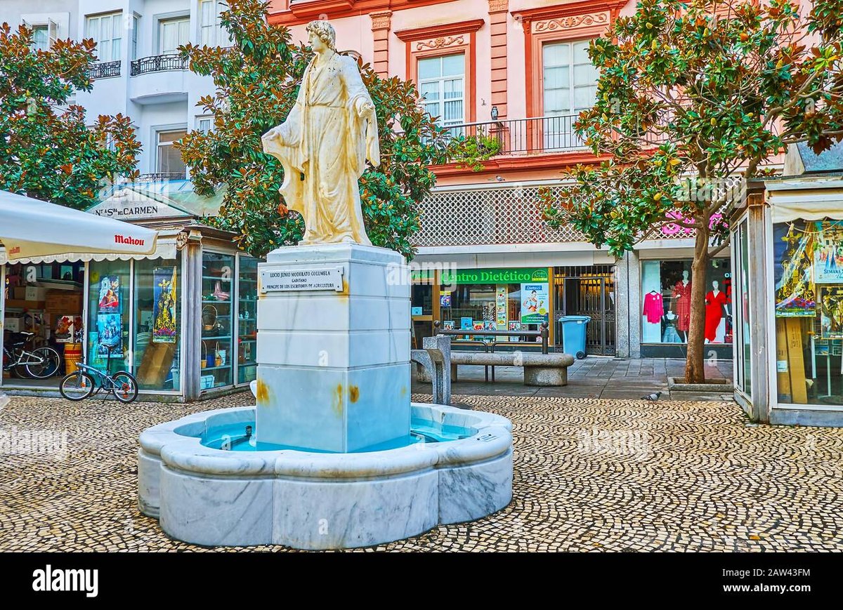 Plaza De Las Flores - Gallery Photo 2