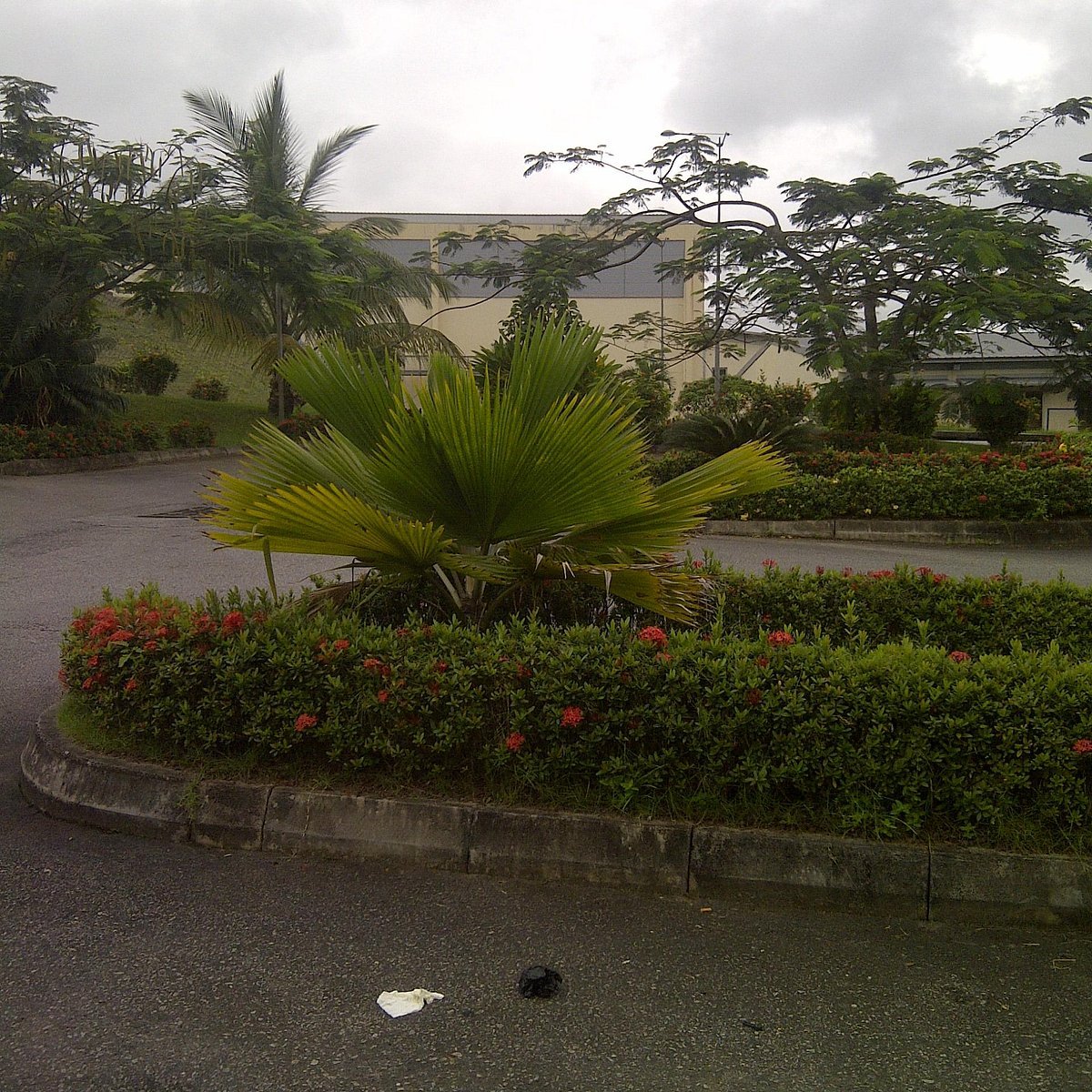 Tinapa Lakeside Mall - Gallery Photo 19