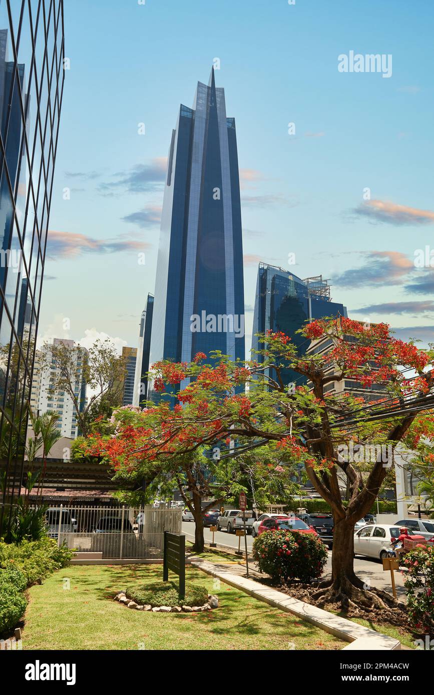 Plaza De La Amistad - Gallery Photo 1
