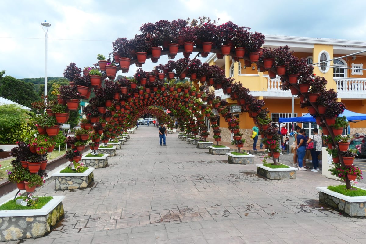 Plaza De La Libertad - Gallery Photo 4