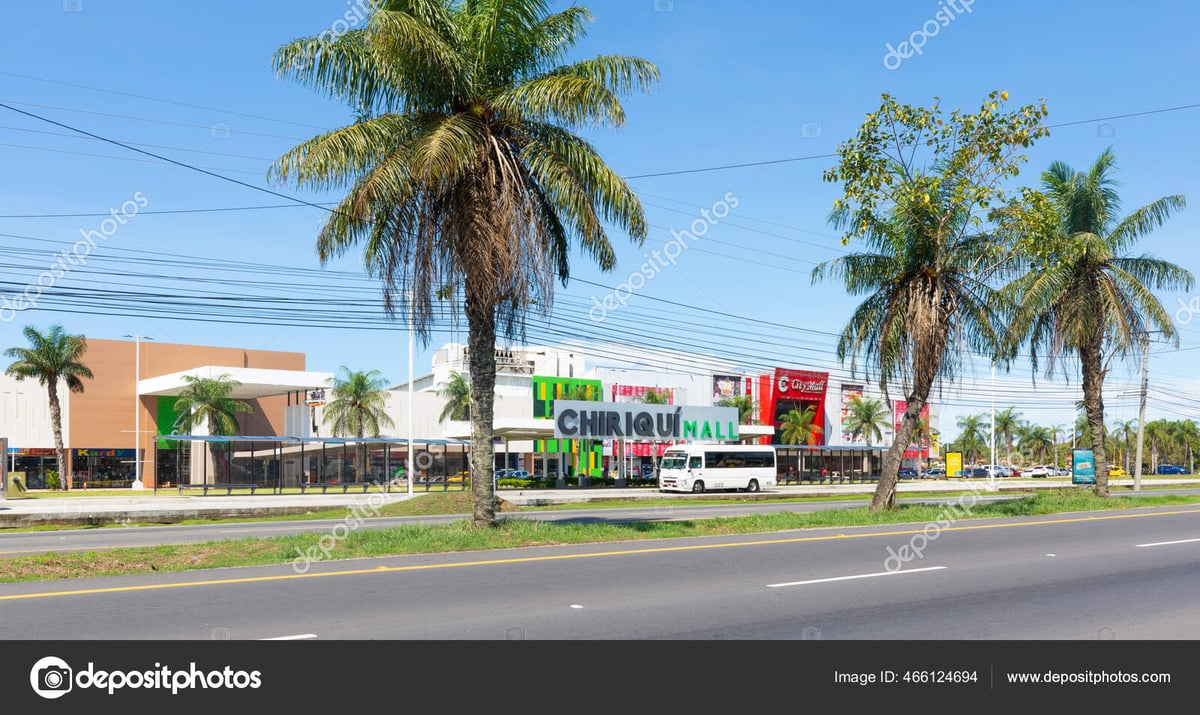 Centro Comercial David Plaza - Gallery Photo 3