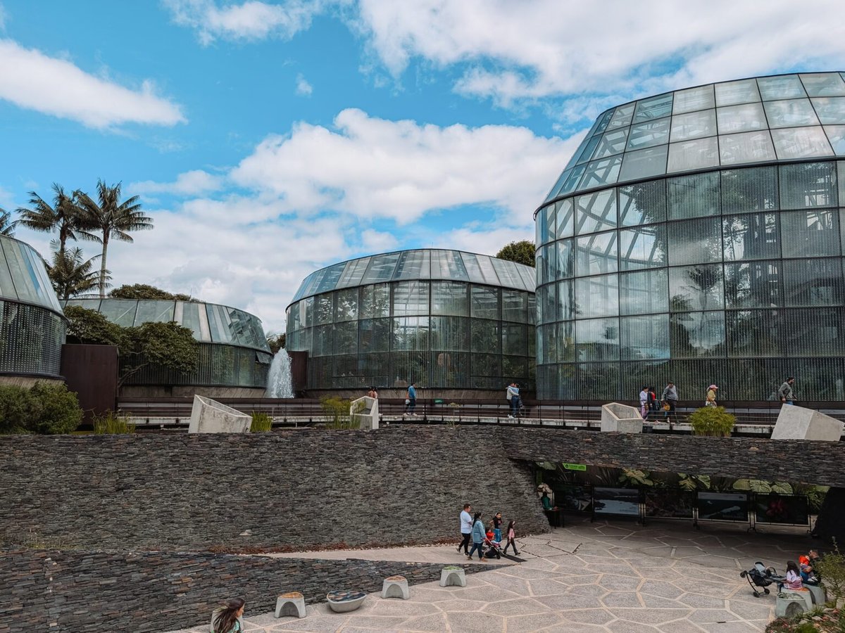 El Edén Plaza - Gallery Photo 4