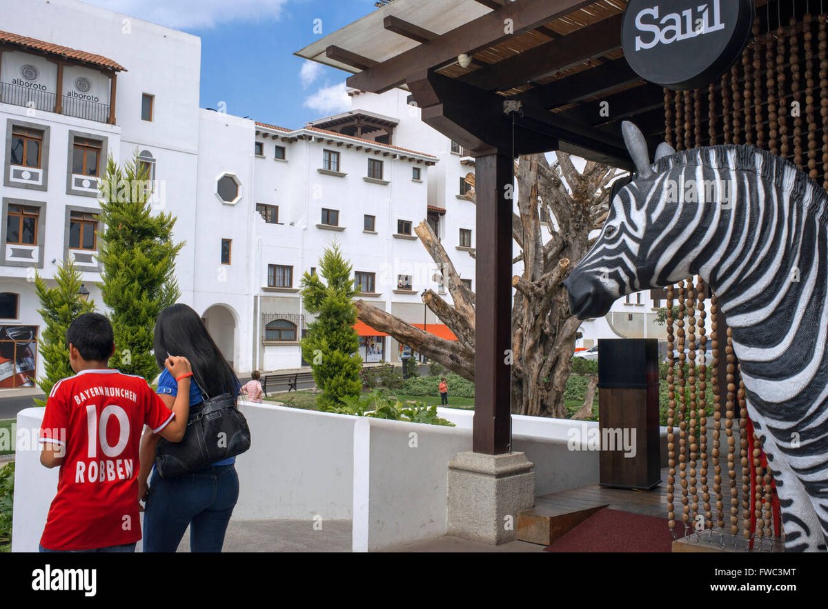 Paseo Cayalá - Gallery Photo 5