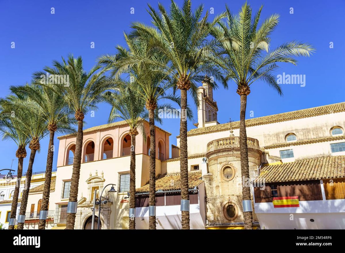 Plaza Las Palmas - Gallery Photo 7
