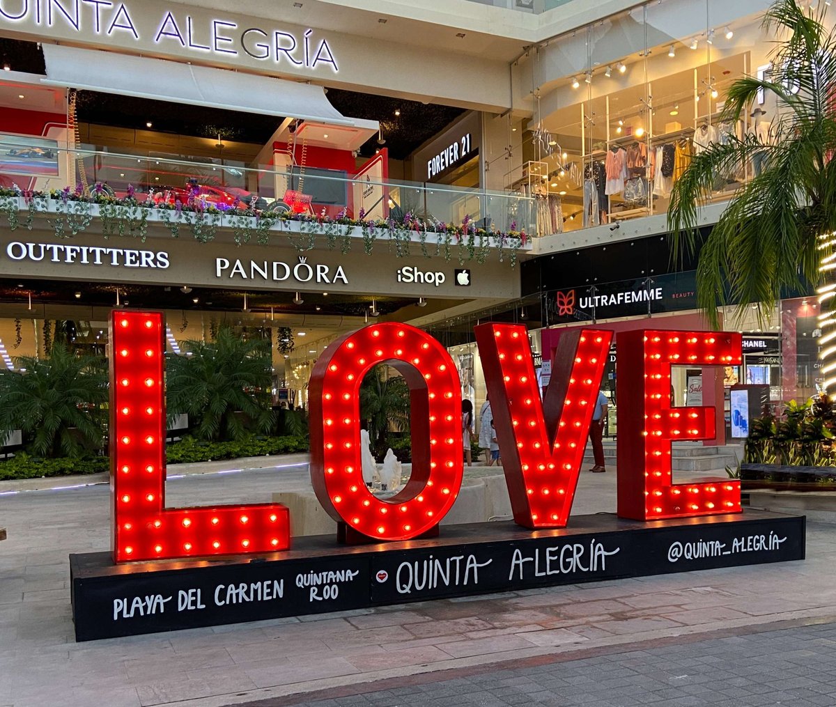 Plaza Las Palmas - Gallery Photo 10