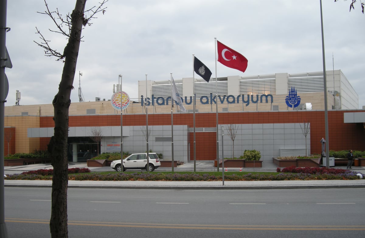 Aqua Florya Istanbul Akvaryum - Gallery Photo 8