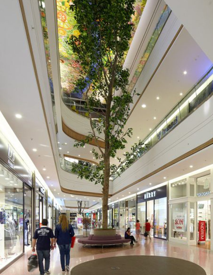 Adana Optimum - Gallery Photo 5