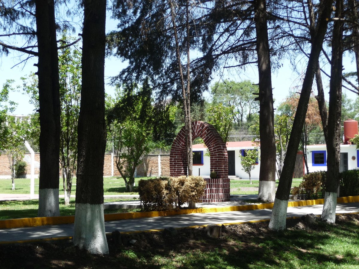 Plaza Las Hortensias - Gallery Photo 6
