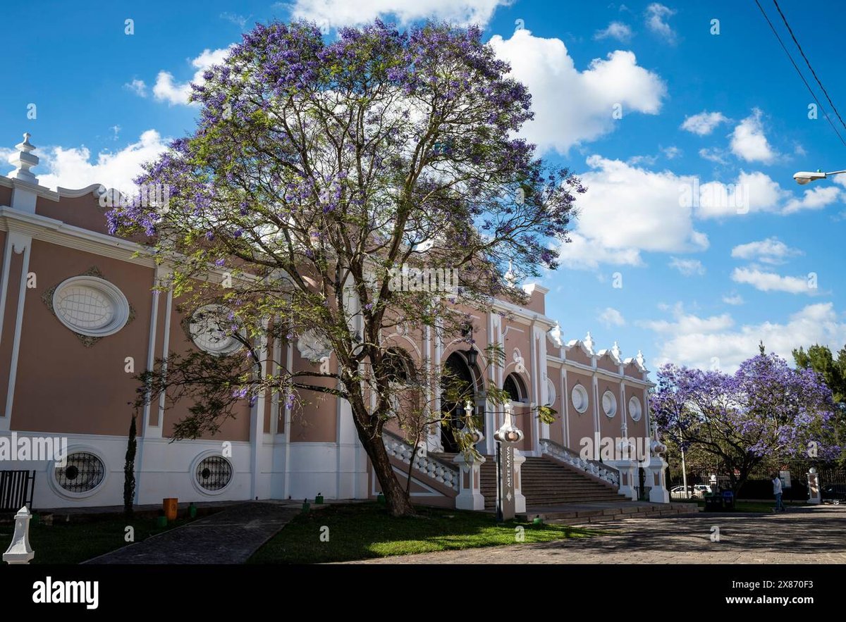 Sur Plaza - Gallery Photo 3