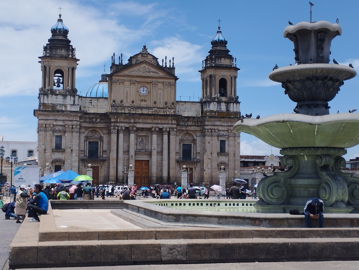 Plaza Dorada - Gallery Photo 7
