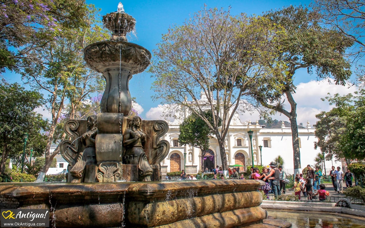 Plaza Ciudad Vieja - Gallery Photo 2
