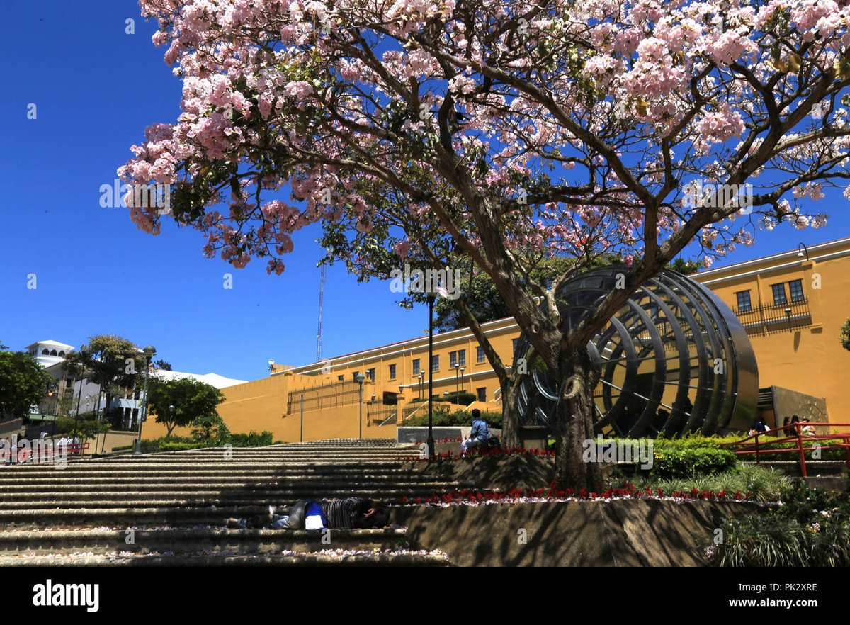 Plaza Guadalupe - Gallery Photo 5