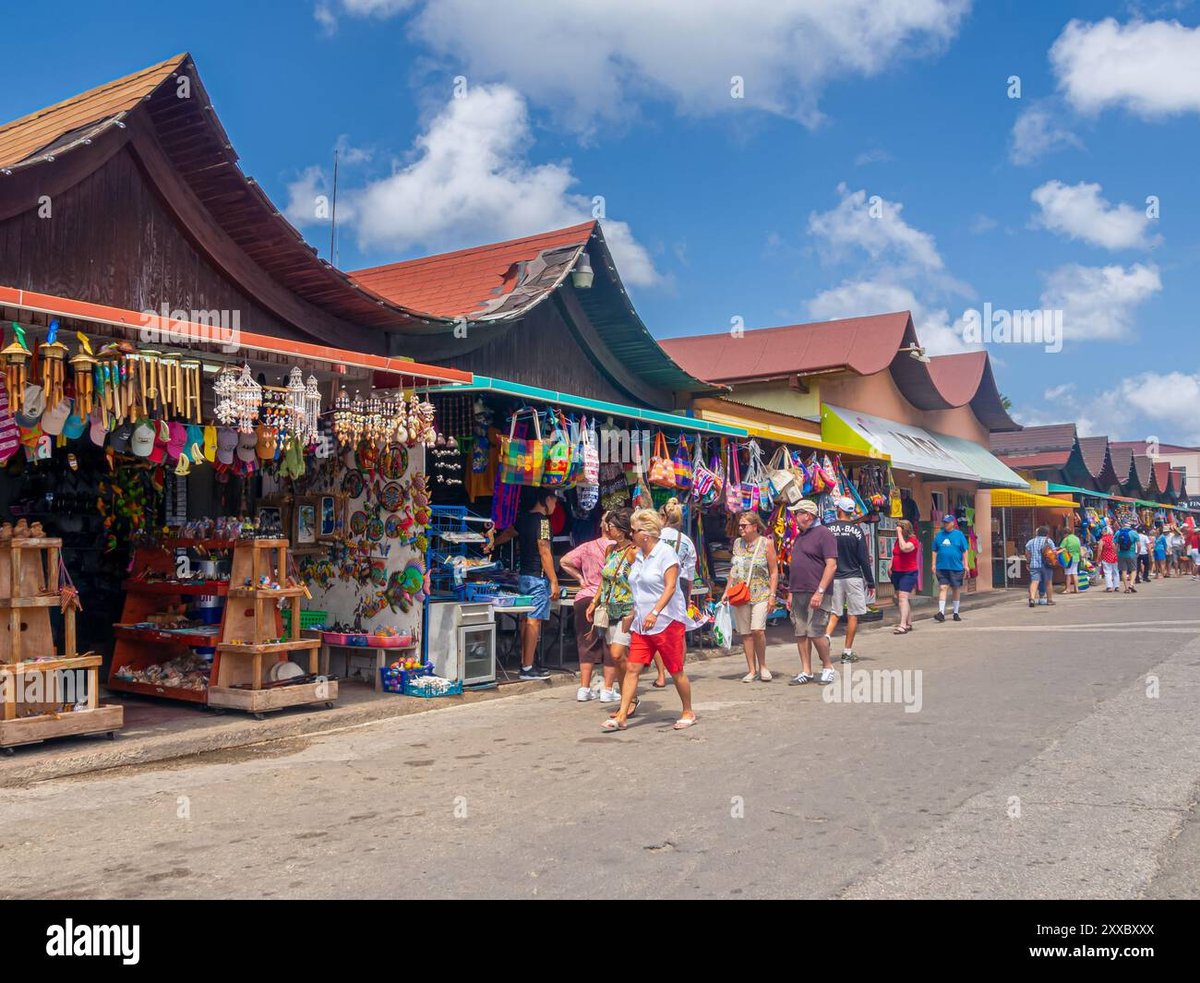 Local Market Noord - Gallery Photo 2