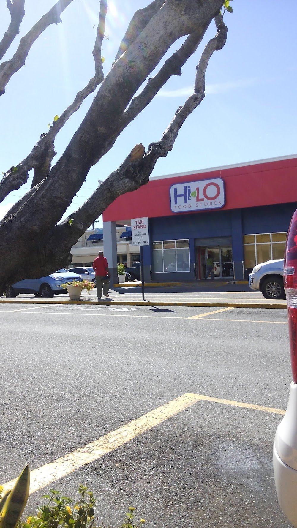 Red Hills Plaza - Gallery Photo 3