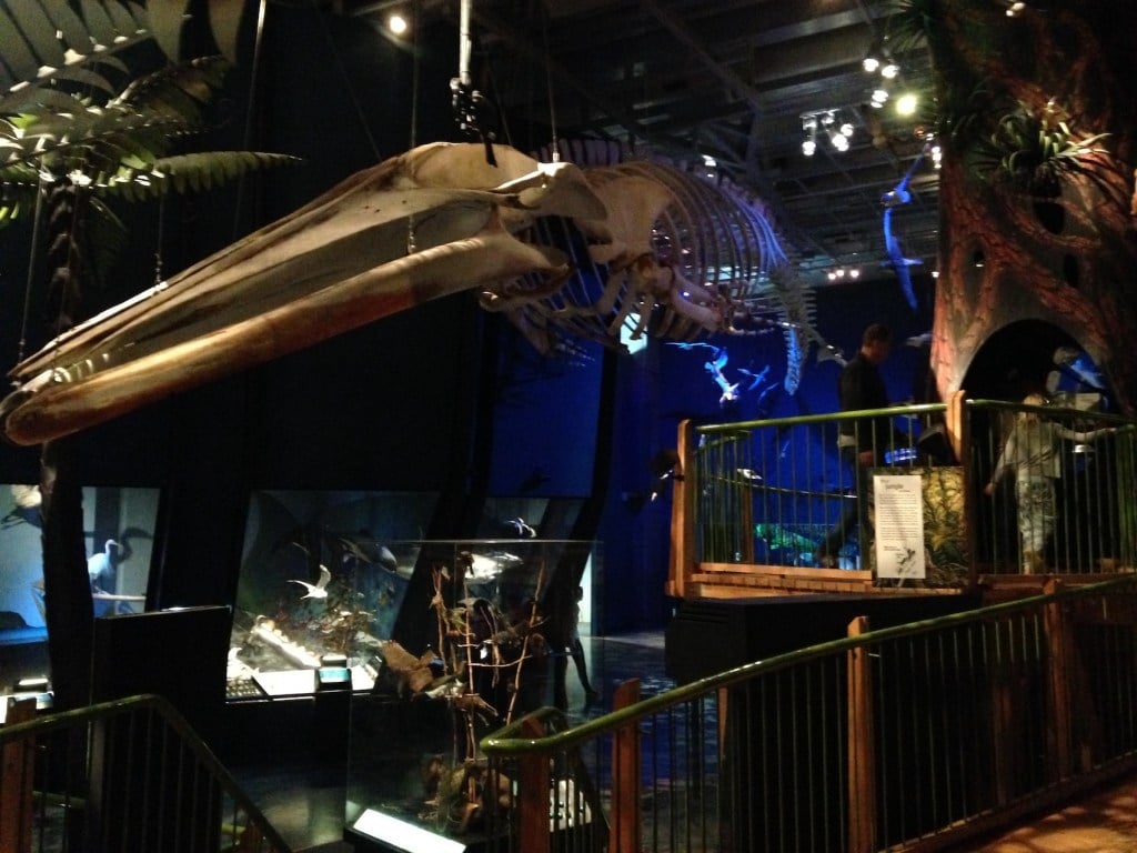 Espace Cluny - Gallery Photo 8