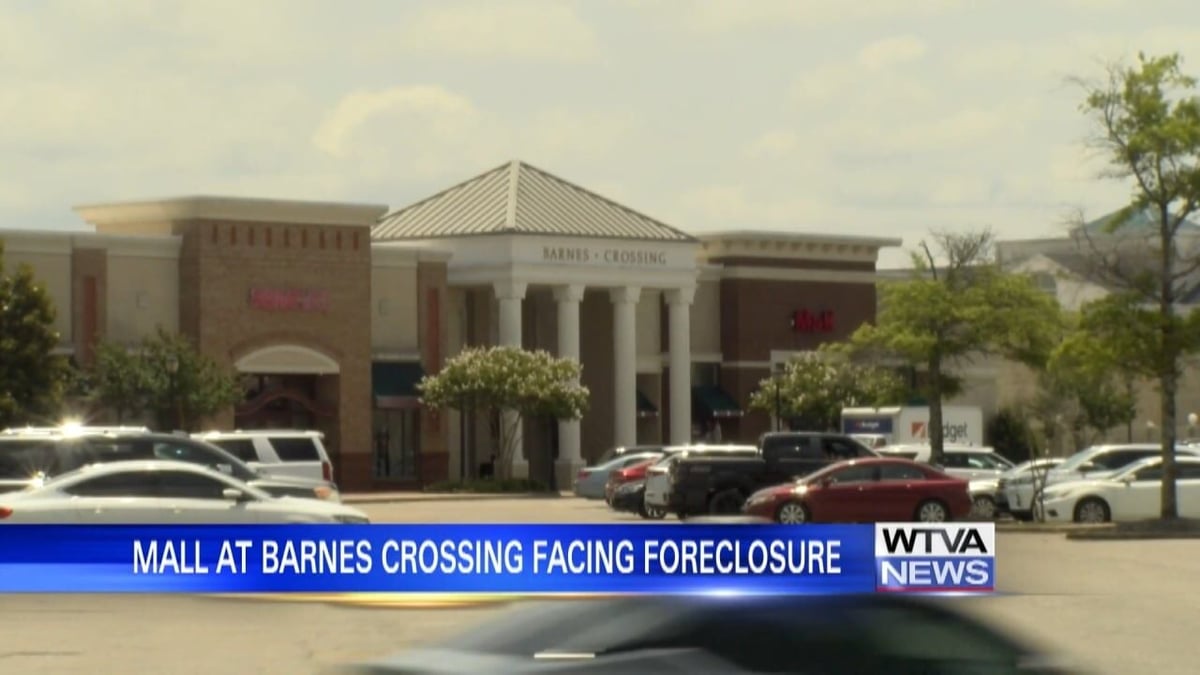 Barnes Crossing Village - Gallery Photo 6