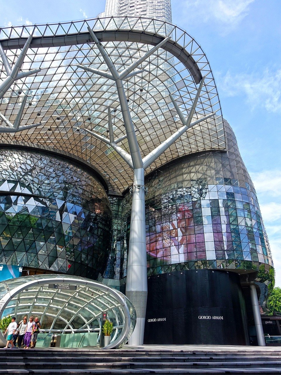 Ion Orchard - Gallery Photo 6